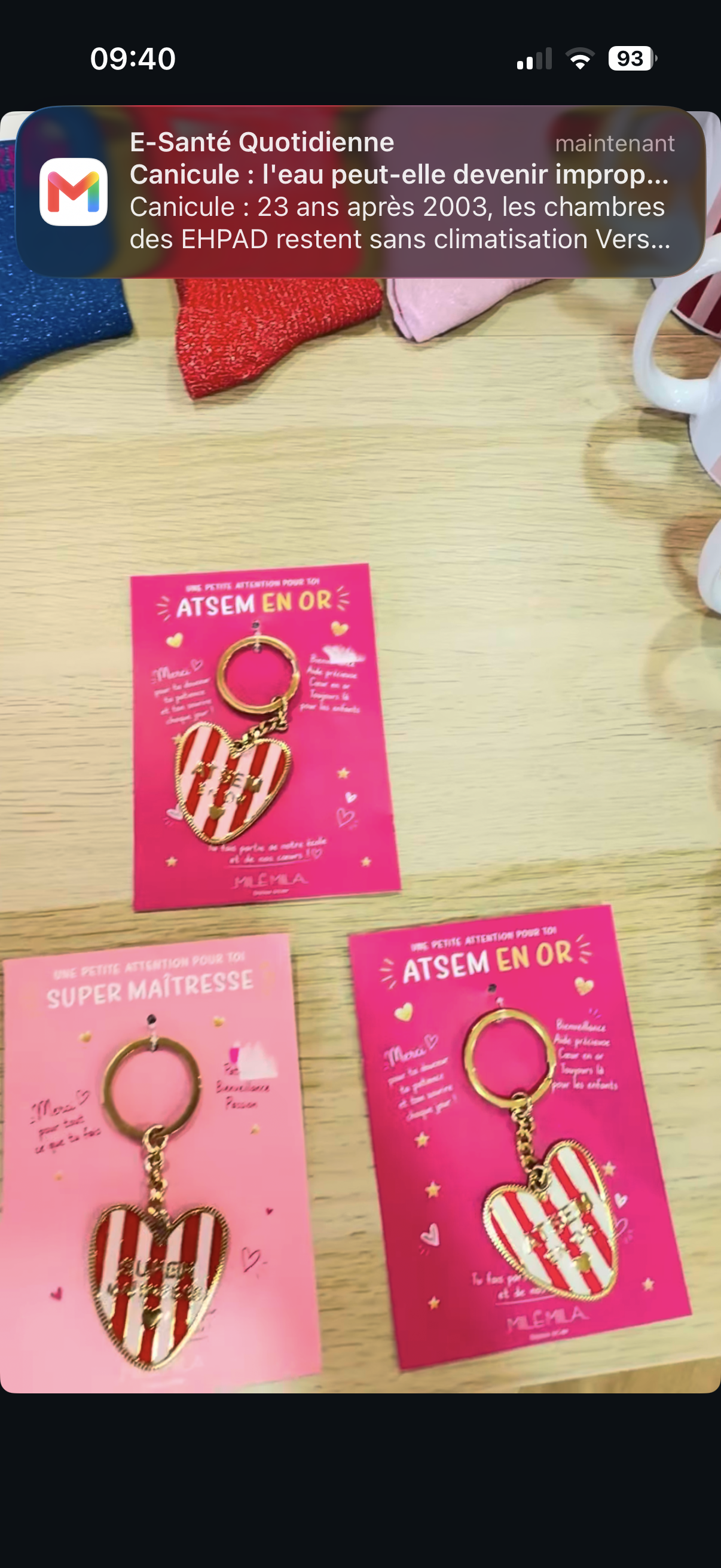 Porte clé maîtresse